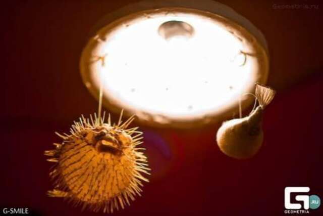 Гостиница Jamayka Hotel Ростоши-10